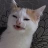 Bining