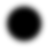 fuji