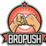 BroPush