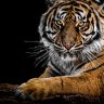 Seo Suleman63