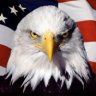 ThePatriot