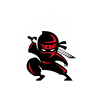 Cool Ninja
