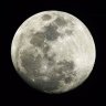 Alanis Langlois