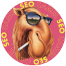 SeoCamel