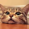 Kat3e
