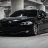 THE SHARK