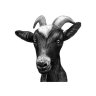 thegoatppc