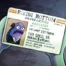 LegitName