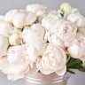 thewhitepeony21
