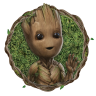 BabyGroot