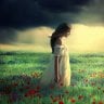 Gerasimovaeu