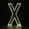 Xaina