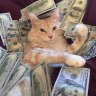 MoneyMonkee