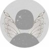 ironmoney
