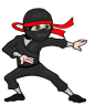 Ninjassolution