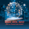 Digi_sol SEO
