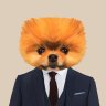 kingdombunni45