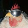 Bigd1ckbandito