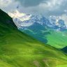 go green