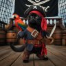 captainmeow