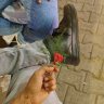 Lucifer_912