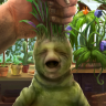 Mandragora2024