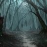 Dark Tree Advertiser