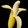 Taiwan banana 813