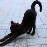 DenverTver