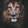 phisher23