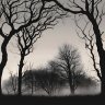 shadowland