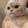 Tortilla05