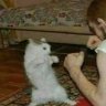 russocatto69