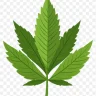 cocainkane
