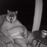 qvexez