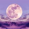 Lunala
