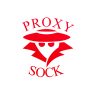 proxysock