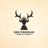 Seo premium backlinks