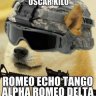 tazi1451