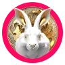bunny1404