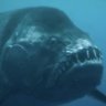 Sven Brant
