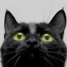 Blackcat87