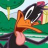 DaffyDuckk