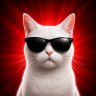 WHITE CAT SEO