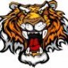 seoparadise