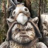 endor