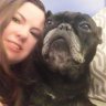 bulldogco