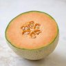 cantaloupe
