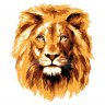 lionct