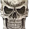 CALLERSKULL